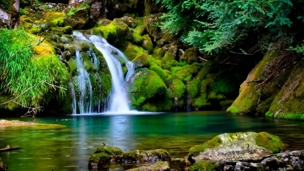 waterfall view  with rocks and trees