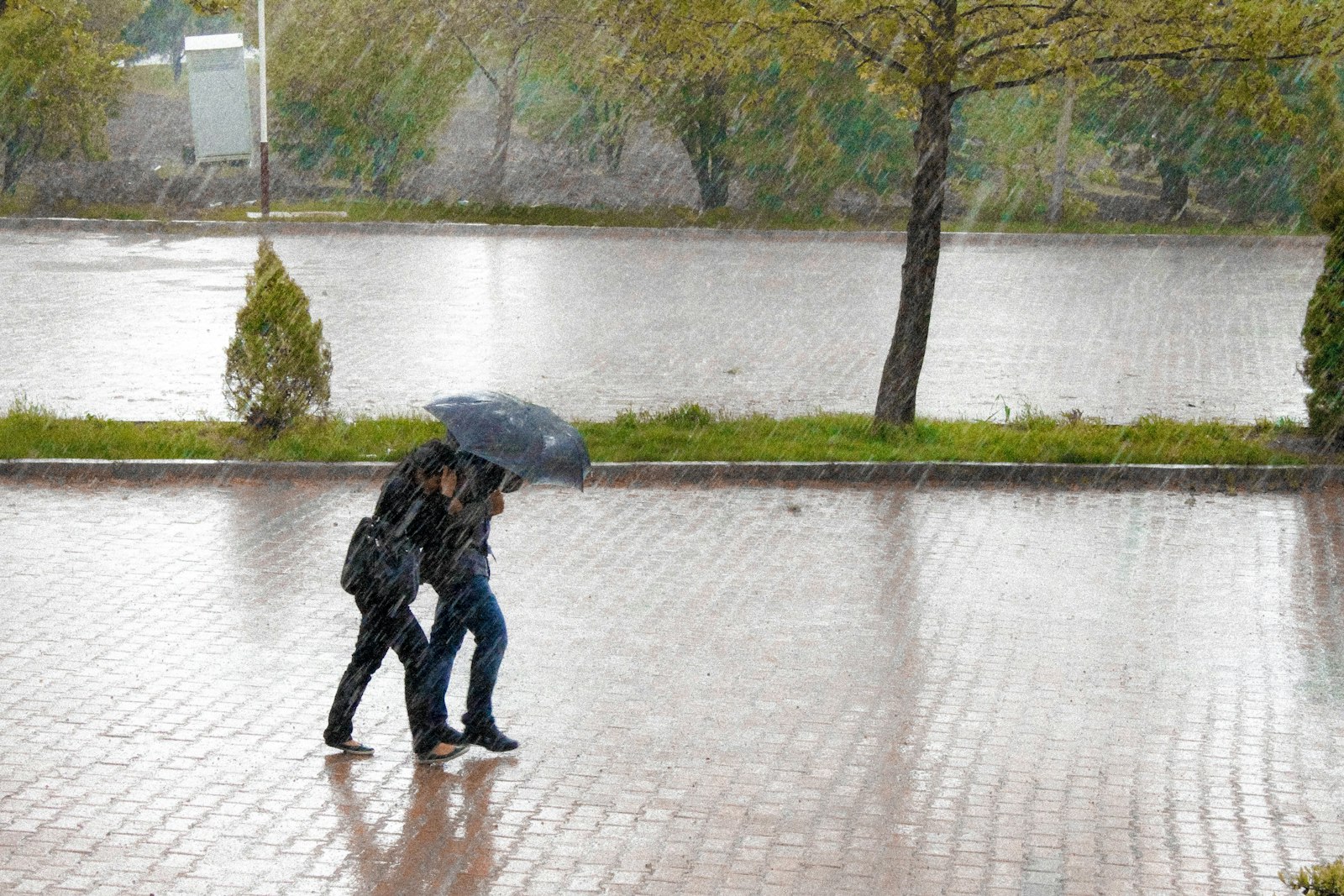 Heavy rain on a city street — a natural source of low-frequency noise