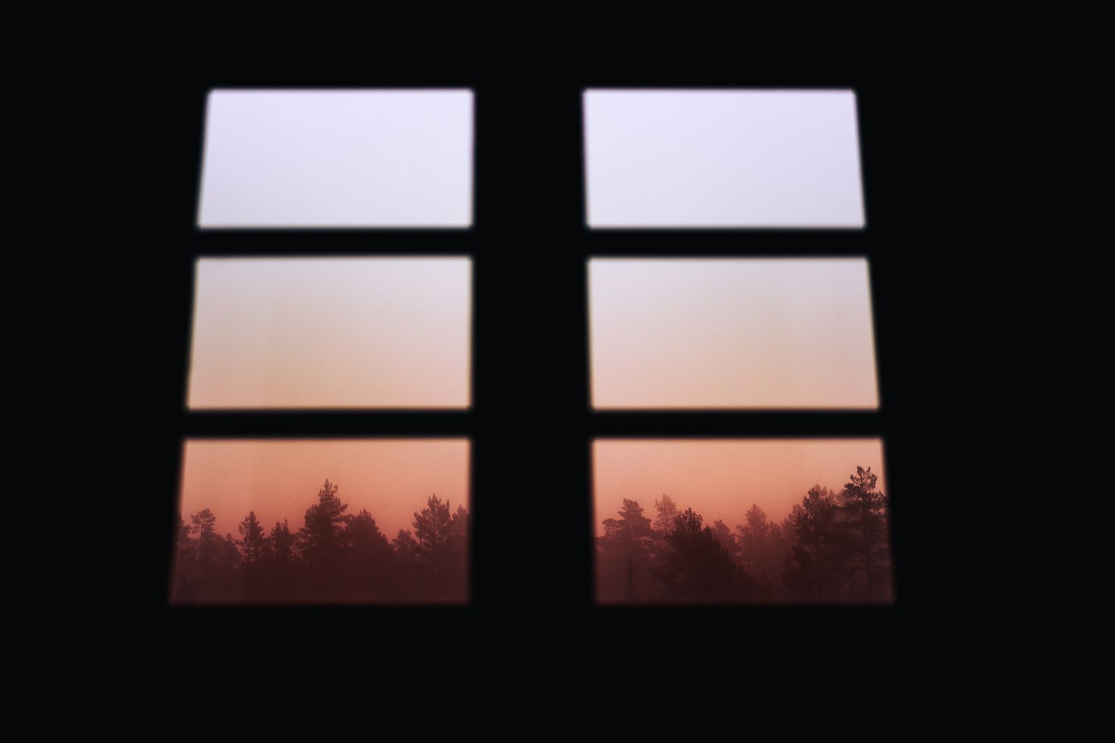 Pink dawn light over a misty pine forest, seen through a dark bedroom window
