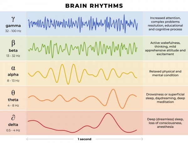 Brain Rhythmic Scheme eeg data